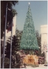 AU Christmas 1988_12