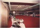 Annual Staff Seminar 1993_5