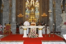 The annual celebration of the Chapel of St. Louis Marie de Montfort 2009_14