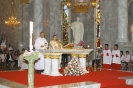 The annual celebration of the Chapel of St. Louis Marie de Montfort 2009_31